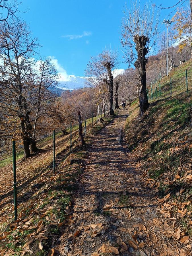 Bbb Bed&Breakfast Bagneri Muzzano Екстер'єр фото